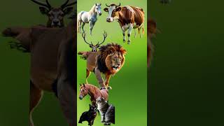 #cow #animation #cartoon #viralvideo#trending #animals #funnyvideo#viral#comedy