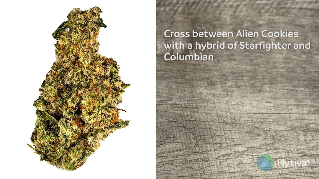 Strain Review: Miracle Alien Cookies