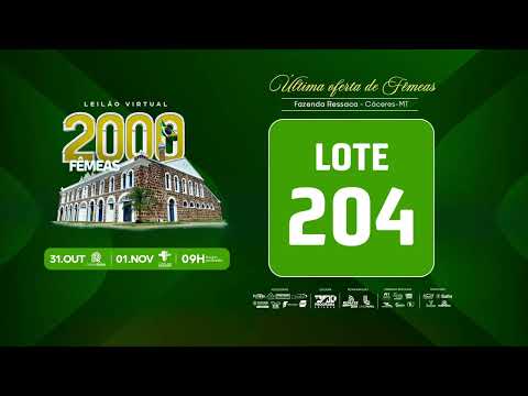 LOTE 204
