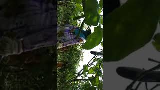 Ibu Ibu Lagi Ngerumpi