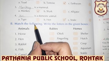 Pathania World Campus- Class 1-Evs  Ch-15 Animals Around Us (Ex)