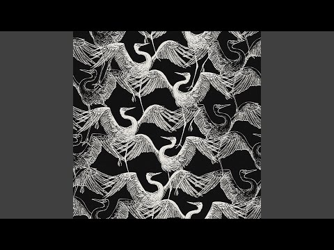 Birds of Mind - Ankara (Stavroz Remix)