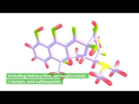 Vídeo: Identificação De Genes Discriminatórios De Resistência A Antibióticos Entre Resistomes Ambientais Utilizando Algoritmo De árvore Extremamente Randomizado