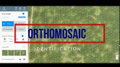 Drone Deploy: Orthomosaic Indentification
