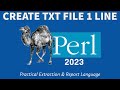 Perl Programming - Create File In 1 Line 2023