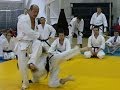 Agility, Conditioning, Footwork and Nage Waza by Seiji Nishimura. Seminar in Moscow 2008 (Part 2/6)