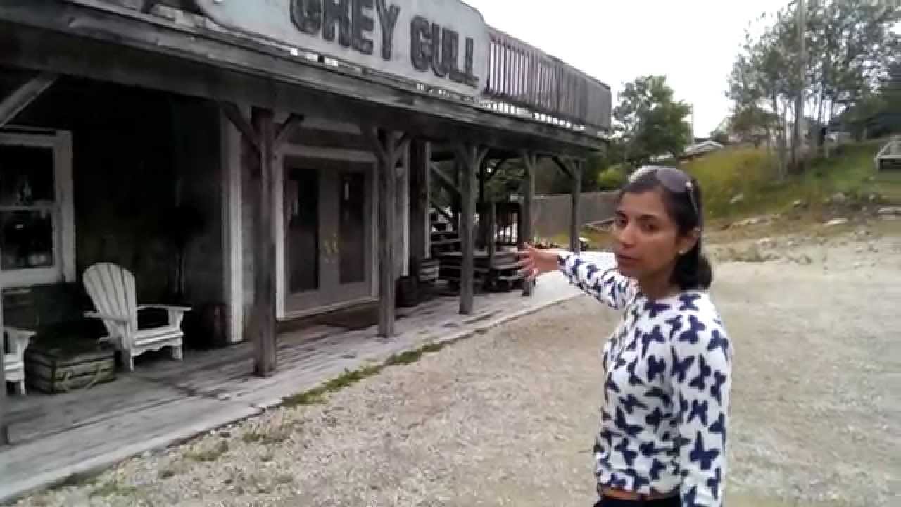 'Haven' locations - the Grey Gull 