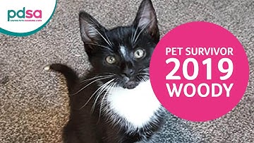 PDSA Pet Survivor 2019: Woody