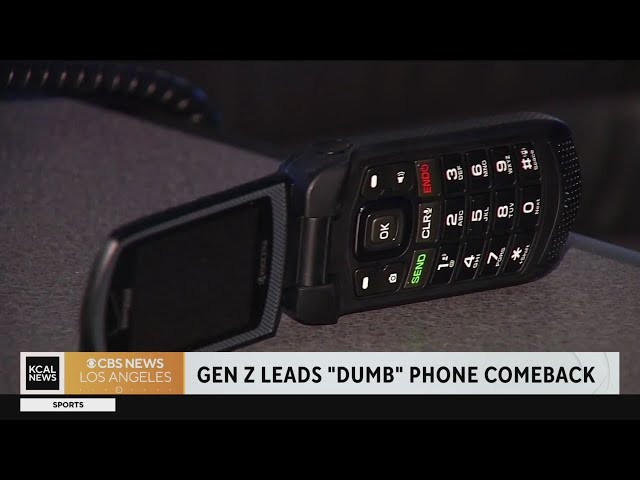 Dumbphones' make a comeback: 'No one calls me anymore', Technology