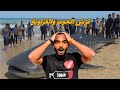 إيه حكاية سمكة قرش الحوت اللي ظهرت في غ ز ة غوص Modrar Diving Scubadiving Whales 