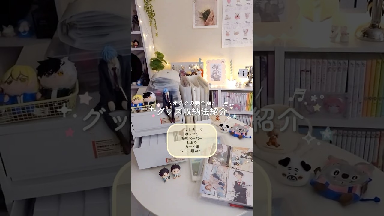 完全版|オタクグッズ収納法まとめ🫧