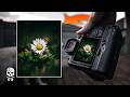 These Tips Make Nature Photography So Much Easier