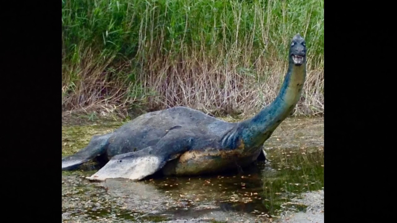EL MONSTRUO DEL LAGO NESS 2020?🦕 YouTube EL MONSTRUO DEL LAGO NESS 2020?🦕 YouTube