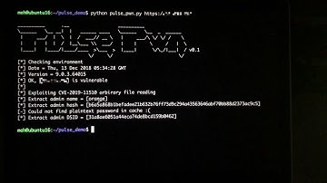 Pulse Secure SSL VPN PreAuth Remote Code Execution with Compromising All the Connected VPN Clients
