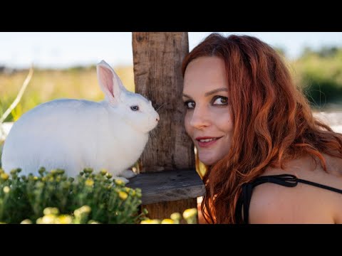 Лісан - Пісня про зайців | Official Video