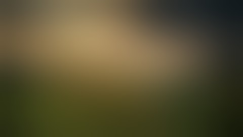اجمل تلاوة حجازية لن تجد مثيل لها480P