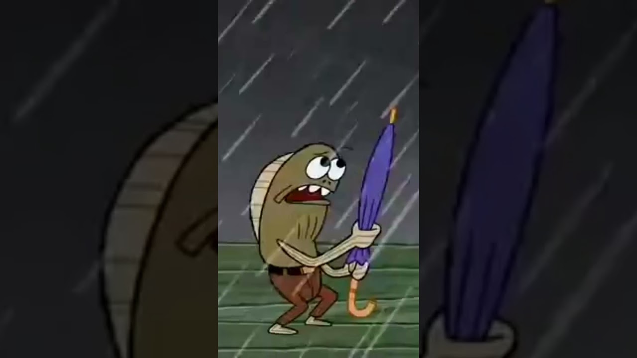 Smartest fish in bikini bottom history😂😂😂