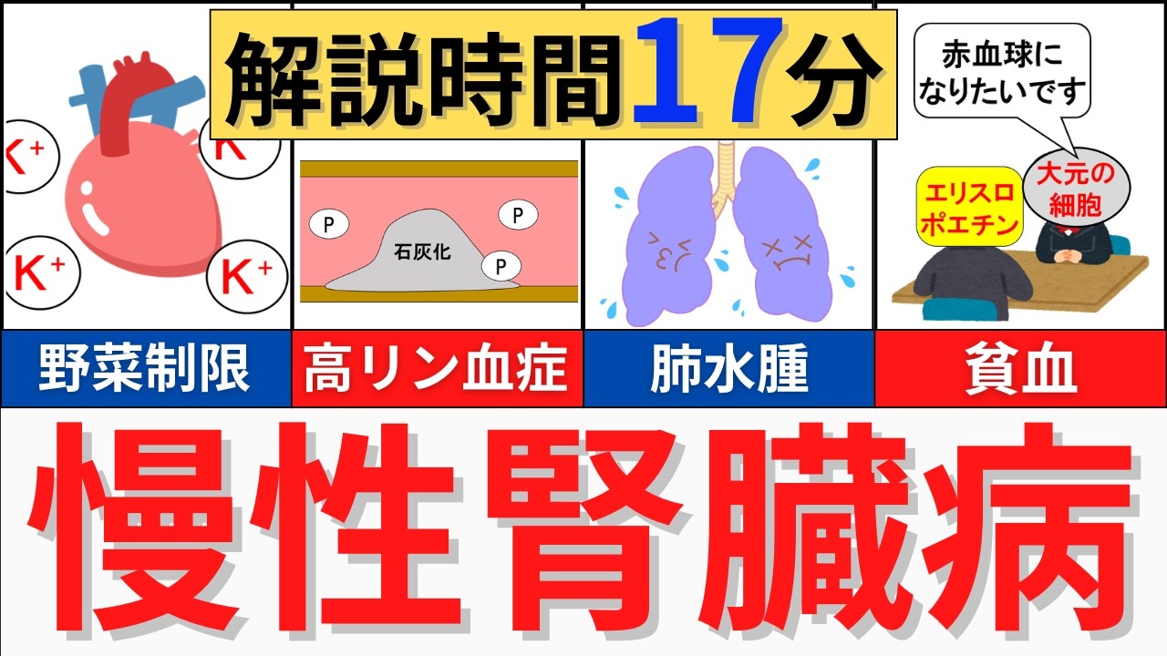 【国試問題約100問】慢性腎臓病を解説！後半2時間は国試問題出題　ほぼ聞き流しやん