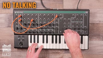 PWM Malevolent Monophonic Semi-Modular Analog Synthesizer | Chicago Synth Exchange