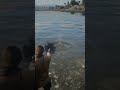 Water Shooting in GTA V vs RDR2