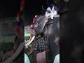 STEE KUMARA GURUDEVA BIRTH CELEBRATION #poikayilappachan #sreekumaragurudevan