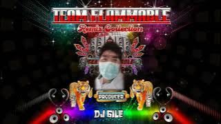 NONSTOP LOVE SONG REMIX BY DJ GILE VOL2