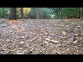 Turnigy Mini Rally Extreme in Action