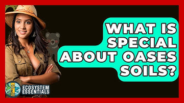 What Is Special About Oases Soils? - Ecosystem Essentials