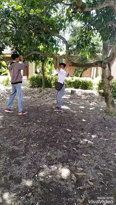 Story wa// Lucu bikin ngakak