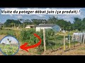 Visite du potager dbut juin a produit 