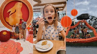 FAMILIES FIRST CHINESE NEW YEAR IN THE PHILIPPINES *vlogger meet up*