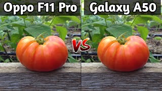 Oppo F11 Pro VS Samsung Galaxy A50 Camera Test Comparison