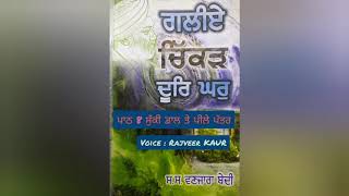 Galiye Chikkad Door Ghar by S.S VANJARA BEDI CH:- 8 ਸੁੱਕੀ ਡਾਲ ਤੇ ਪੀਲੇ ਪੱਤਰ SUMMARY