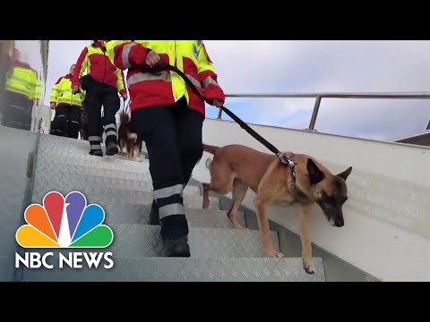 Search and rescue teams arrive in Turkey from around the world.