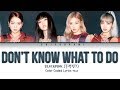 BLACKPINK Don T Know What To Do Color Coded Lyrics Eng Rom Han 가사