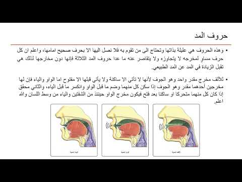 الدرس الثالث مخرج الجوف ومخرج الحلق حروف المد والهمزة والهاء والعين والحاء والغين والخاء مهدي حسب