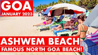 Goa | Ashwem Beach - January 2023 | Goa Vlog | Near Arambol Beach | North Goa | Morjim Beach |
