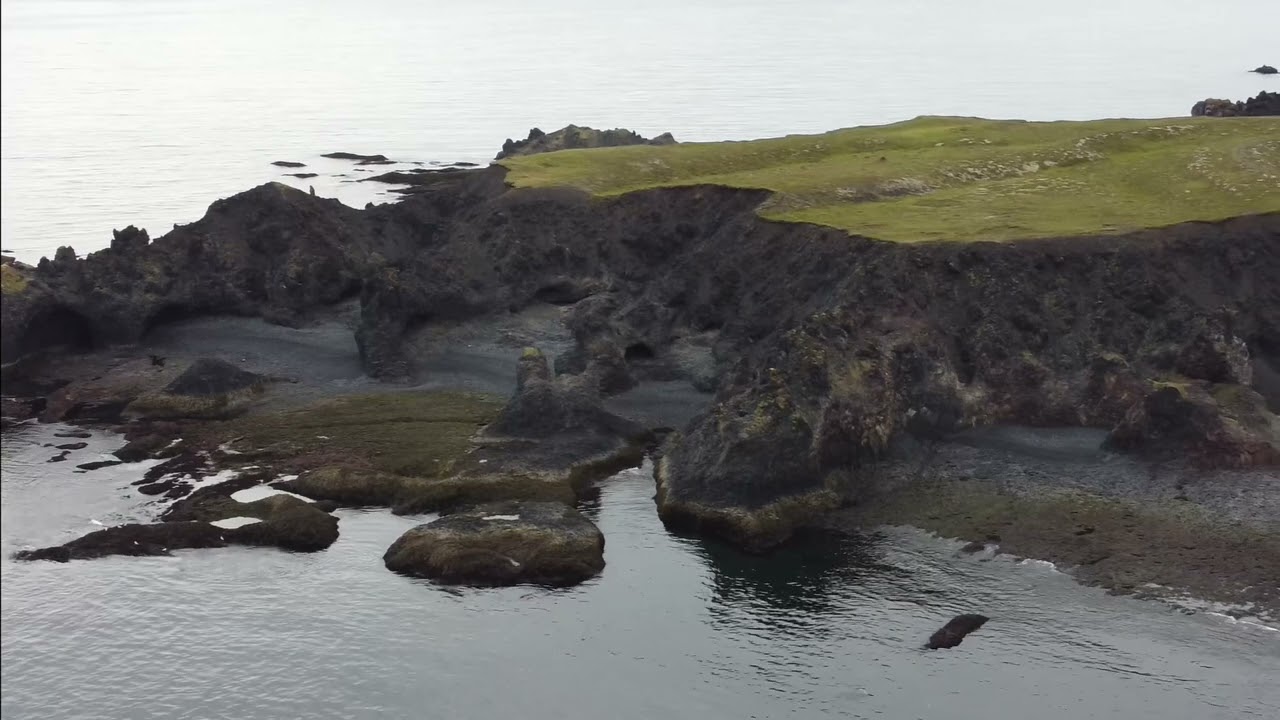 Djúpalónssandur Lava Soil and Black Sand Beach
