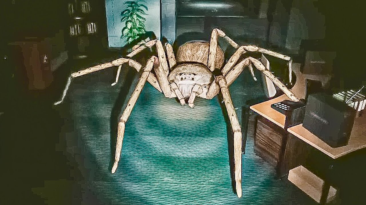 Australia simulator, this spider is NIGHTMARE FUEL!