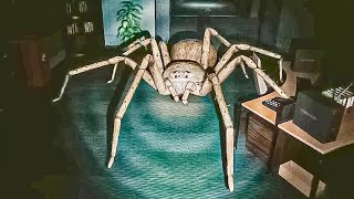 Australia simulator, this spider is NIGHTMARE FUEL! screenshot 2