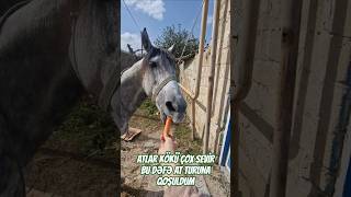 45 Yaşim Olsa Da Bütün Akti̇vi̇tələrdə Varam Bu Dəfə At Turuna Qoşuldum.