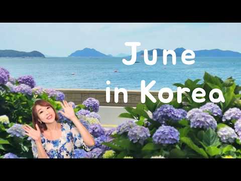 Ultimate Guide to "Korea in June" (weather, travel tips, what to do)
