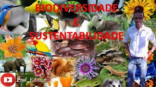 Biodiversidade e sustentabilidade (9º ano) Prof. Edinar