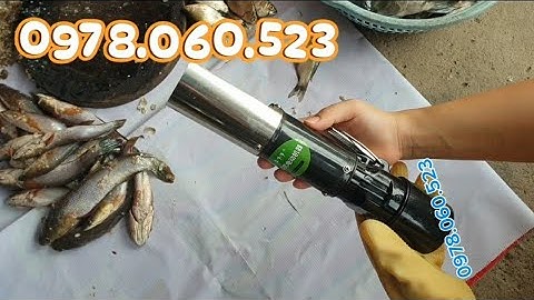 Đánh Vảy Cá Rô Phi Với Máy Đánh Vảy Cá Cầm Tay Dùng Pin 16V8 Siêu Khỏe