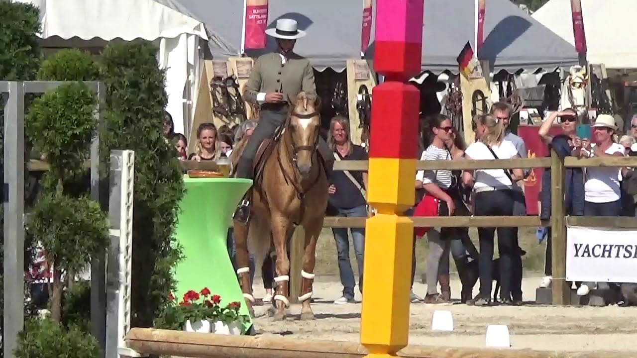 WAWE Weltmeisterschaft Working Equitation 2018 Trail Vasco Godinho on Trigo