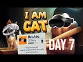 I am cat vr  day 7  last  day of early access  gameplay  meta quest  no commenting