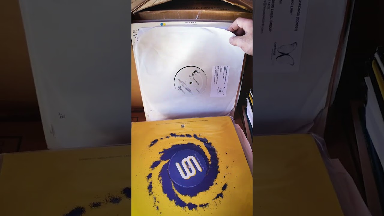 Progressive House, Tribal, Trance Vinyl Vault - Crackin / Diggin / Flippin