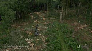 Aerial Video of Tree Cutting Operation - SSE Aerial Film