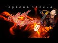 Guitarist Flame - Червона Калина / Hey Hey Rise Up