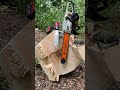 Forestry🌲💯 #chainsaw #forstwirtschaft #500i #forest #stihl #forest #wood #machine #work #wald